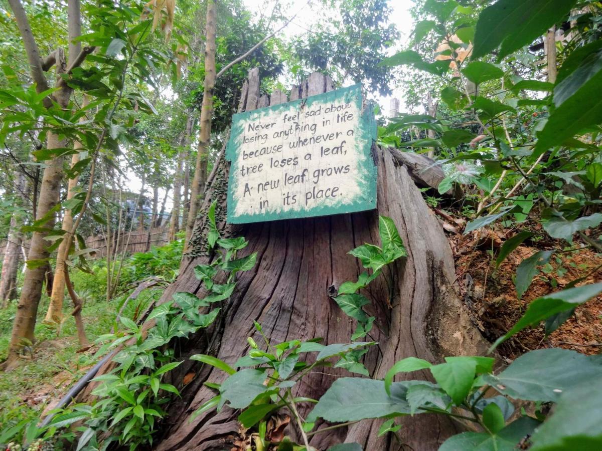 Camp Talusi Hills Overlooking El Nido Exterior foto