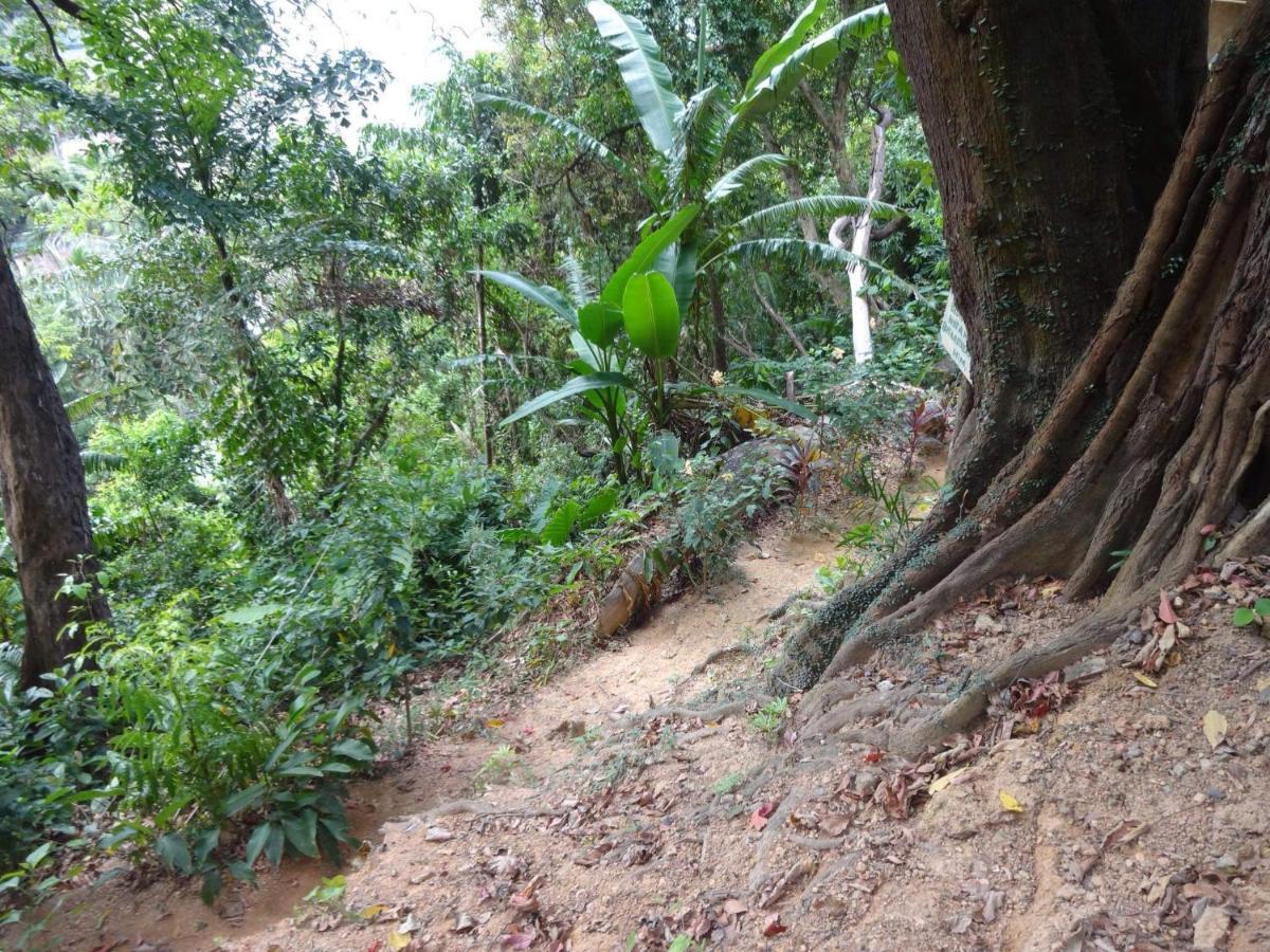 Camp Talusi Hills Overlooking El Nido Exterior foto